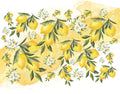 Watercolor-style illustration of lemons on branches with green leaves and small white flowers, arranged across a light yellow and white background.