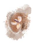Watercolor art print featuring a small bird with outstretched wings inside a brown oval, surrounded by a soft beige watercolor splash with black and gold speckles on a white background.
