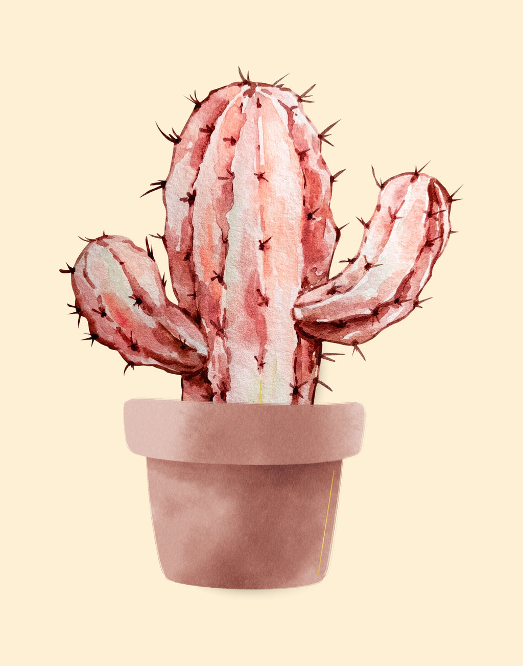 A watercolor-style illustration of a pinkish cactus in a terracotta-colored pot, centered on a pale cream background.