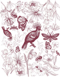 A botanical and insect illustration print featuring detailed line drawings of flowers, butterflies, bees, and birds in a dark burgundy or plum ink style on a white background.