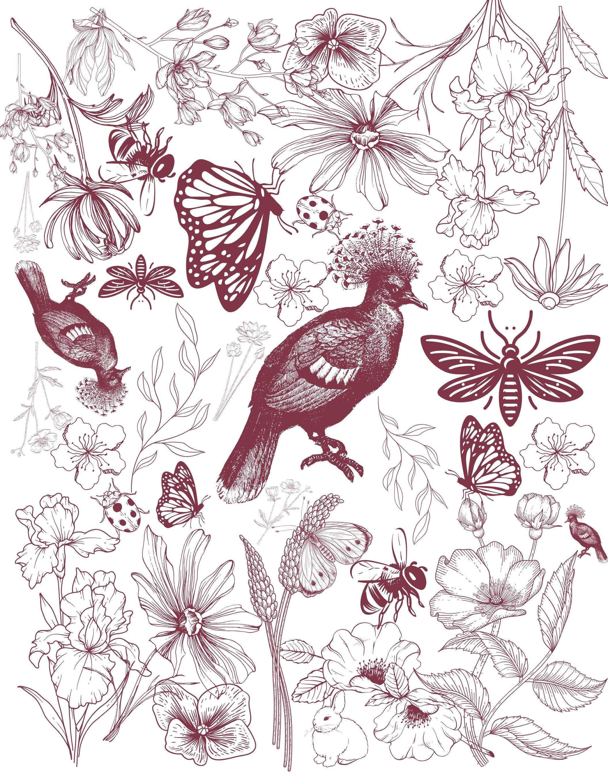 A botanical and insect illustration print featuring detailed line drawings of flowers, butterflies, bees, and birds in a dark burgundy or plum ink style on a white background.