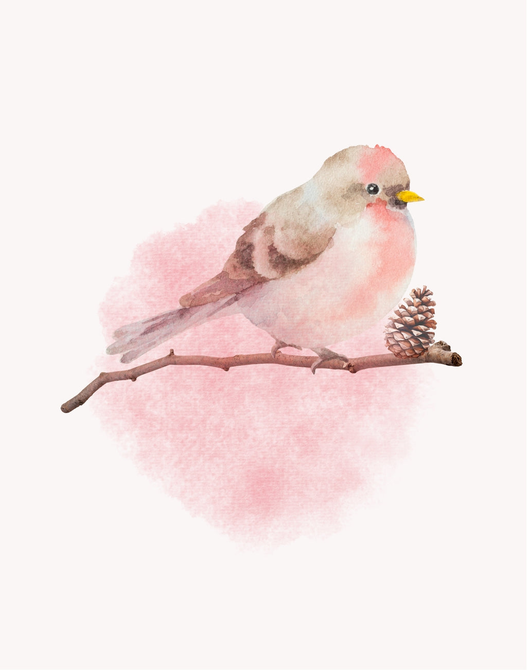 Watercolor-style illustration of a small bird perched on a branch with a pinecone, set against a soft pink watercolor shape on a light cream background.