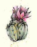 A stylized botanical illustration of a cactus with pink flowers, rendered in black linework with pink, green, and gold watercolor accents on a cream background.