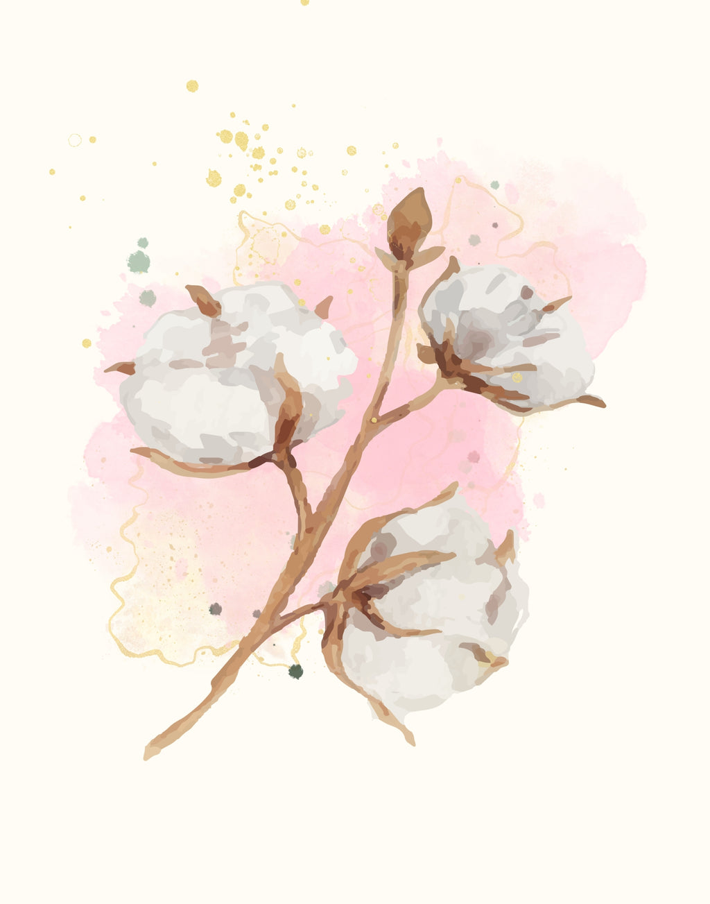 Watercolor-style illustration of cotton bolls on a branch with soft pink and pale yellow watercolor washes on a cream background.