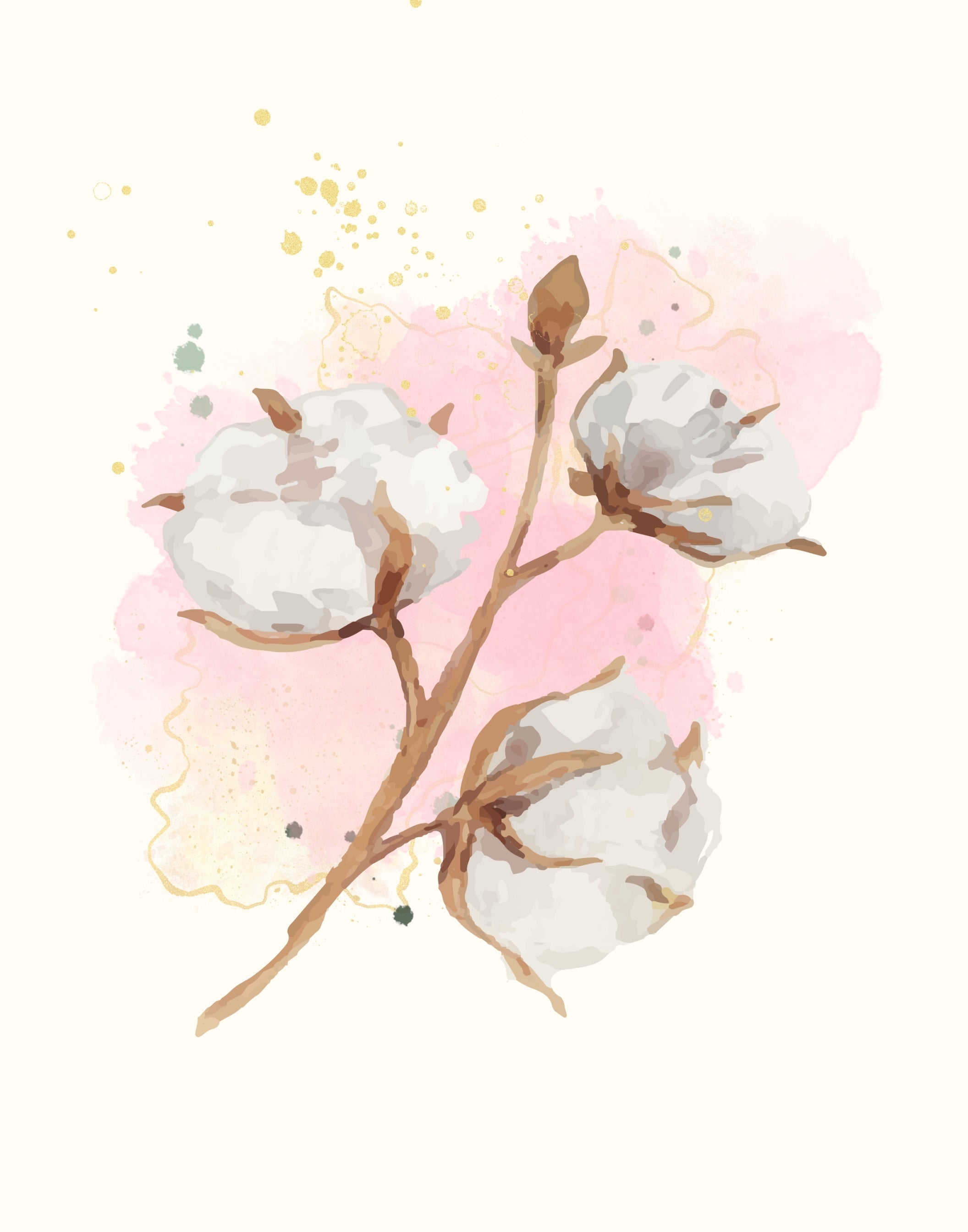 Watercolor-style illustration of cotton bolls on a branch with soft pink and pale yellow watercolor washes on a cream background.